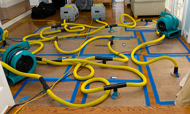 Professional Basement Flood Cleanup technician working in Lester, WV